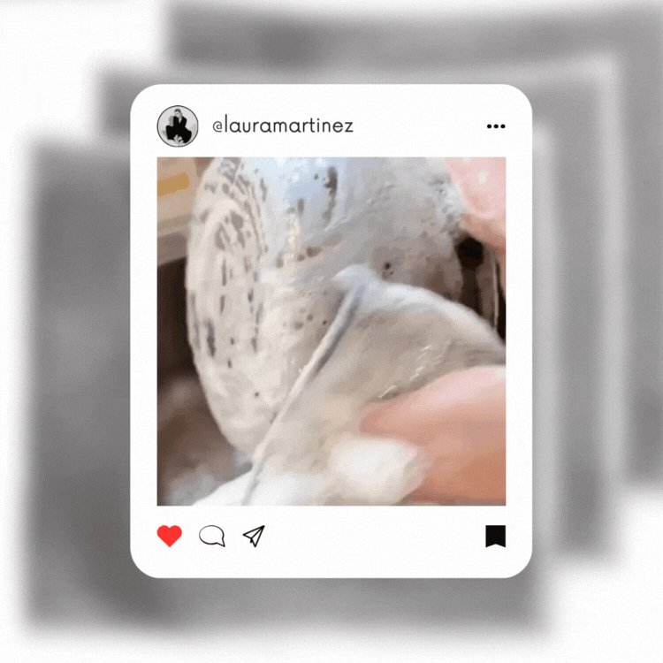 Paño MaxClean Kit 10 Piezas – Limpieza Profunda SIN Esfuerzo 🧼✨